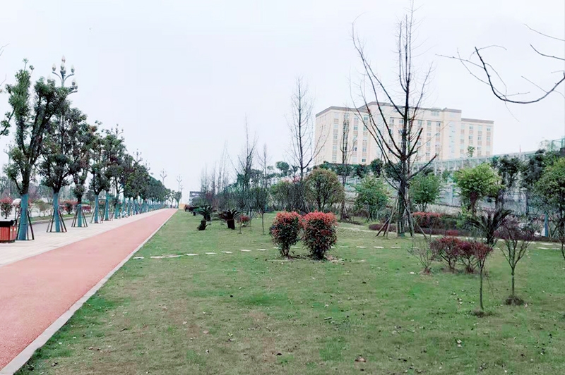 安徽 市翠屏区（一期B区）道路   管网等设施建设项目